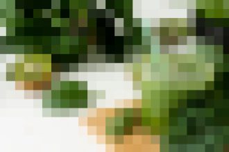 Blurry garden scene with green plants and a white path in the background.