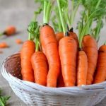 Home Food | შენი სუფრა