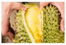 რა არის ეს უცნაური სახეობის მქონე ეგზოტიკური ხილი?