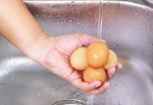 რატომ უნდა გავრეცხოთ ქათმის კვერცხი გამოყენებამდე