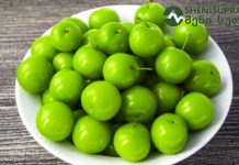 ტყემალი და ალუჩა – მათი სარგებელის შესახებ რა უნდა ვიცოდეთ