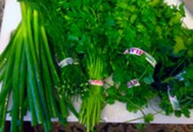 იმპორტირებული მწვანილის საბაზრო ფასი