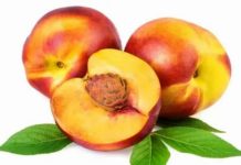 რა სამკურნალო თვისებებით გამოირჩევა ვაშლატამა