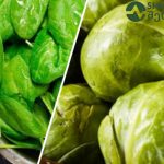 როგორ შევამციროთ მარილის მიღება? | შენი სუფრა