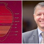 “ღვინო უნდა იყოს სიხარულის და ჯანმრთელობის სიმბოლო და არა – მავნე ჩვევის ნაწილი ” – გიორგი ფხაკაძე