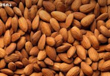 ნუშის მოსავალი სტატისტიკა და ფასი