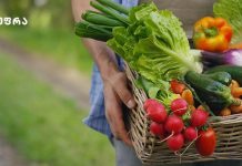 ორგანული თუ ჩვეულებრივი კვება – ღირს თუ არა ბიო პროდუქტებზე გადასვლა? ორგანული