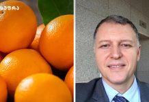 ფორთოხალი დეპრესიის წინააღმდეგ – გიორგი ფხაკაძე სენსაციურ კვლევაზე საუბრობს