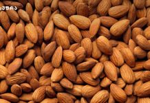 Ნუში – სარგებელი, კალორიები და ყოველდღიური დოზა