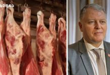 არ შეიძინოთ ხორცი მსგავს ადგილებში: საქართველოში ტრიქინელოზი დაფიქსირდა