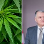 ახალი საგანგაშო კვლევა მარიხუანაზე - გიორგი ფხაკაძის გაფრთხილება ‼️