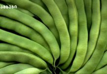 მწვანე ლობიოს სამკურნალო თვისებები