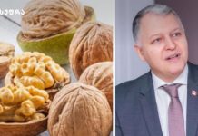 ნიგოზი და ტვინის ფუნქცია – ახალი კვლევა! Split image: left panel shows walnuts and nut pastries with a green logo in the top-left; right panel shows a man in a suit speaking.