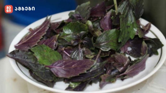 Bowl of fresh purple and green basil leaves on a white plate, ready for cooking.