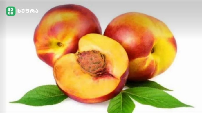 Three ripe peaches with red-yellow skin and green leaves on a white background