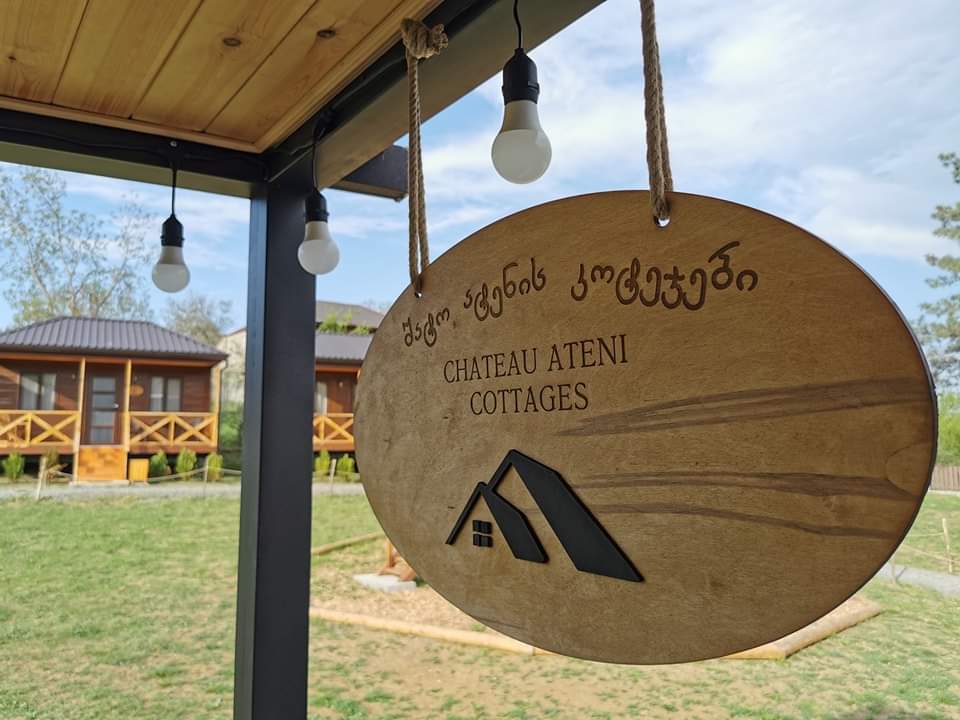 ატენის ხეობის პანორამული ხედი შატო ატენის ტერიტორიიდან