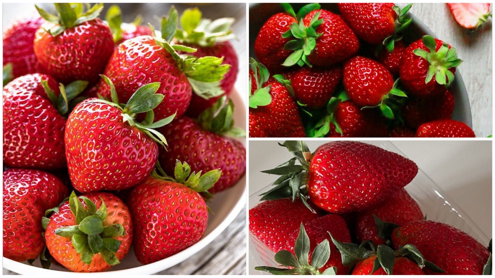 Collage of fresh strawberries: clustered in a bowl, loose berries with green leaves, and some in a plastic container.