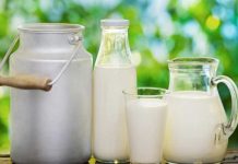 სანდო თუ სახიფათო რძე და რძის პროდუქტები Milk and dairy containers (metal can, glass bottle, pitcher, and glass) sit on a wooden surface outdoors with a green, blurred garden background.