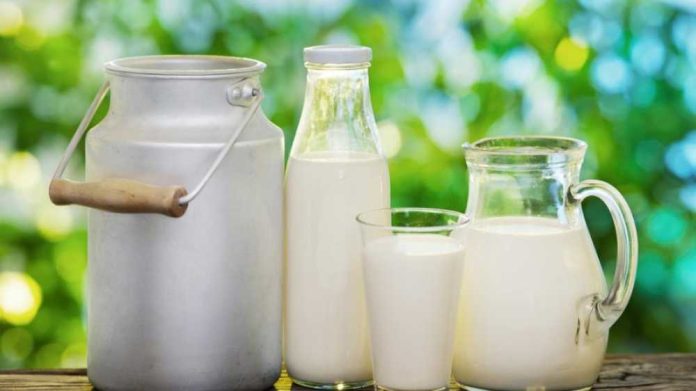 Milk and dairy containers (metal can, glass bottle, pitcher, and glass) sit on a wooden surface outdoors with a green, blurred garden background.