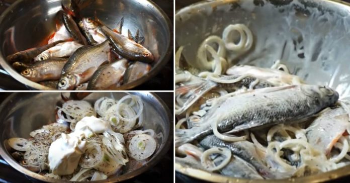 Collage of fish and onions: small fish in a bowl, sliced onions, and whole fish with onion rings for cooking.