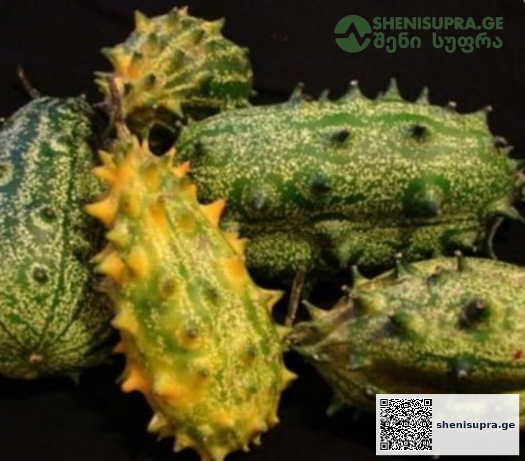 inbound3126930070378577478 | შენი სუფრა 5 ყველაზე უჩვეულო ხილი | შენი სუფრა