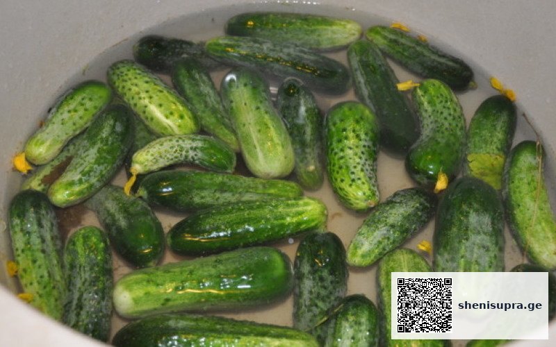 ÑÐµÑÐµÐ¿Ñ Ð¼Ð°ÑÐ¸Ð½Ð¾Ð²Ð°Ð½Ð½ÑÑ Ð¾Ð³ÑÑÑÐ¾Ð²