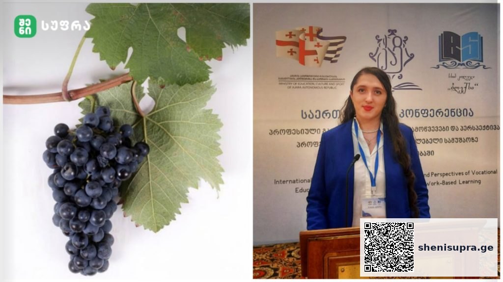 ქართული ვაზის ჯიშები, რომლებიც გადაშენების პირასაა და არ გვხვდება ღვინის ბაზარზე | შენი სუფრა