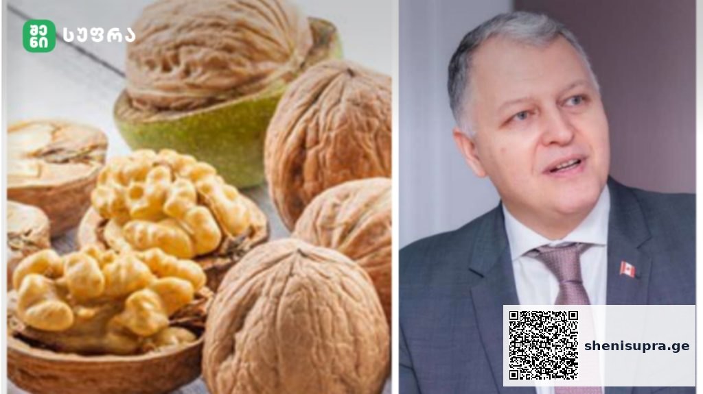 ნიგოზი და ტვინის ფუნქცია – ახალი კვლევა! | შენი სუფრა